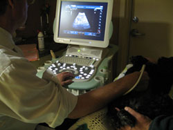 Ultrasound